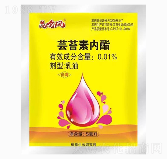 �|̦�؃���-�����_