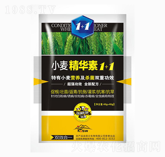 С�����A��1+1-�����_