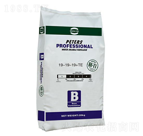 ��Ԫ��(f��)���x�ӷ�19-19-19+TE-��(y��u)�{��