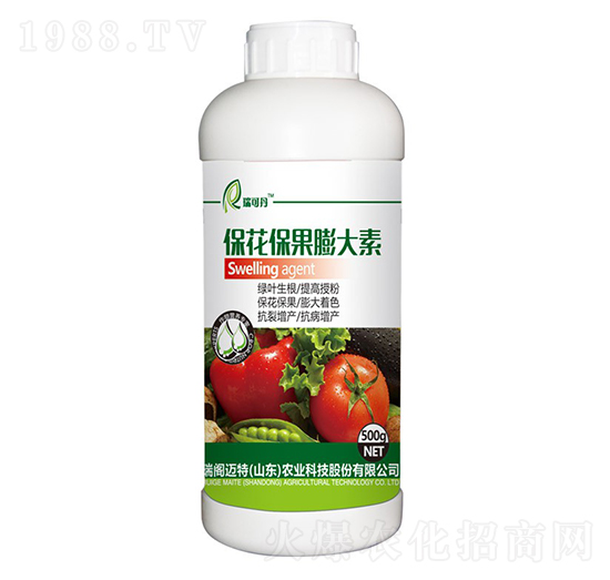 �������������-��ɵ�-���w�~��