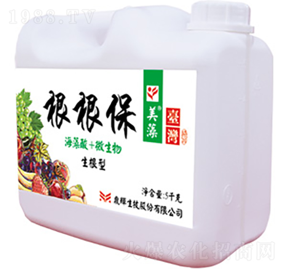 �����͸�����-����-�ƺ�