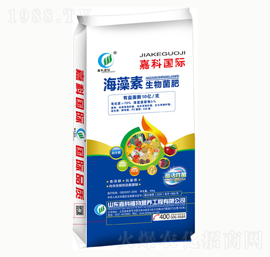 �������������-�ο�