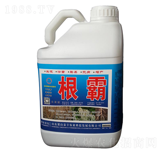 ����-��ɽ̩�S