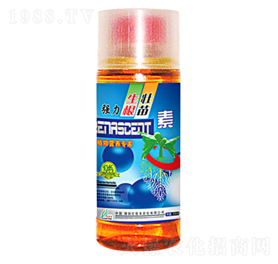 ������������-�|���S