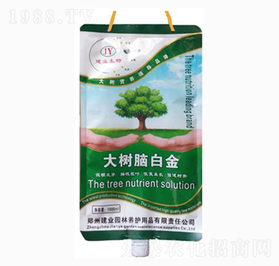 ����X�׽�-���I(y��)