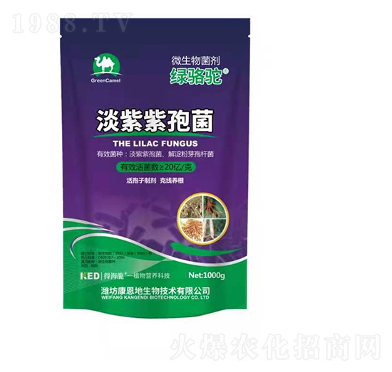 �������߾�-�G��-������