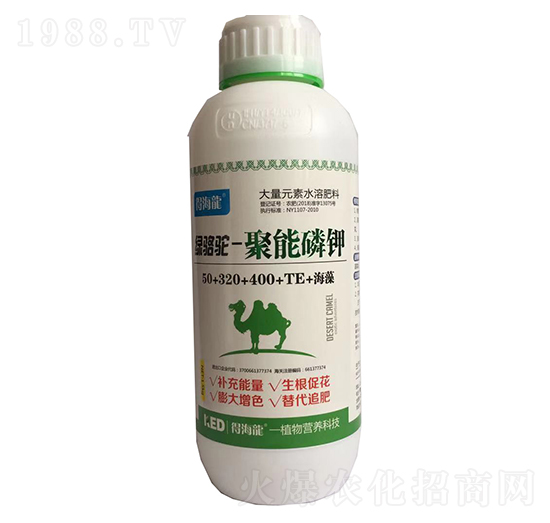 �G��-�������-������