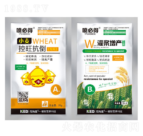 С����������-�ú���-������