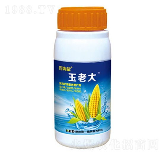 �������~�懊�ʷ�-���ϴ�-������