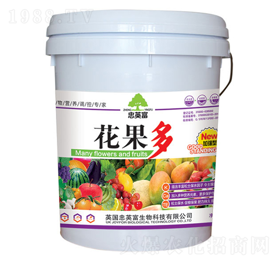 ������-�|���S