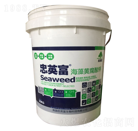 �����S�����-�|���S