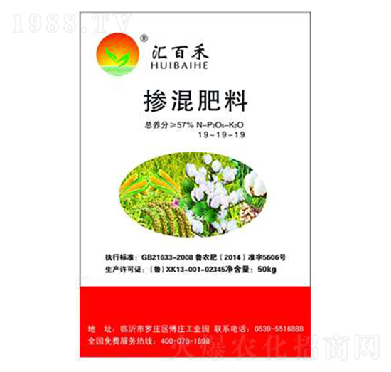 �������19-19-19-��(r��n)�ٺ�