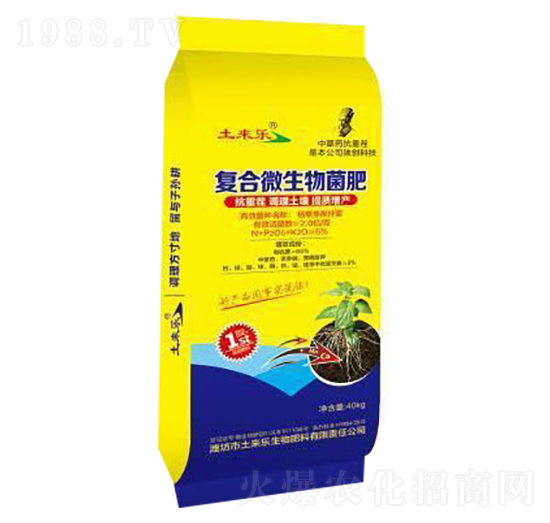 �ͺ�΢�������-���혷