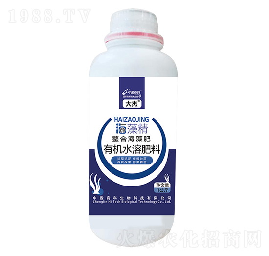 ���Ϻ��徫-���-���ظ߿�