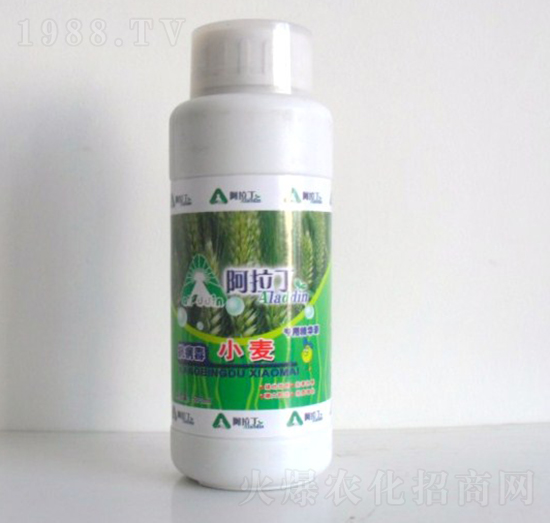 С�����þ��A��-������