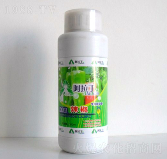 �������þ��A��-������