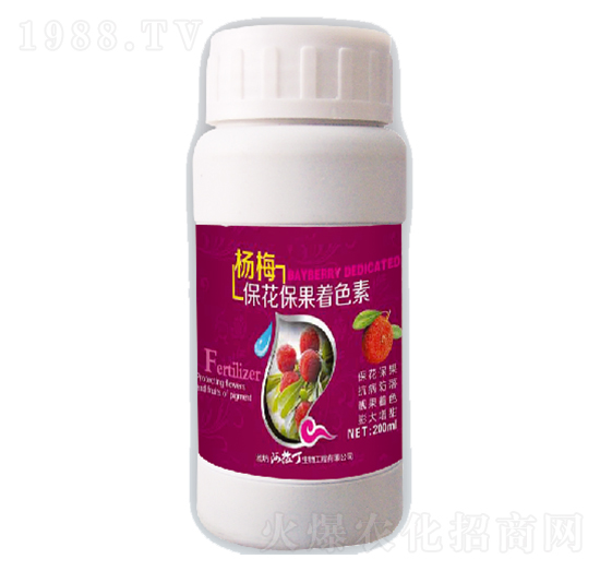 ��÷����������ɫ��-������