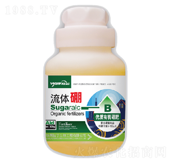 ���w��-������