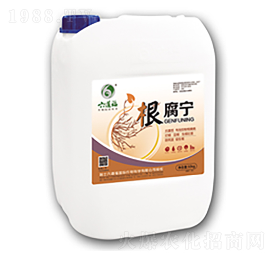 ������-������