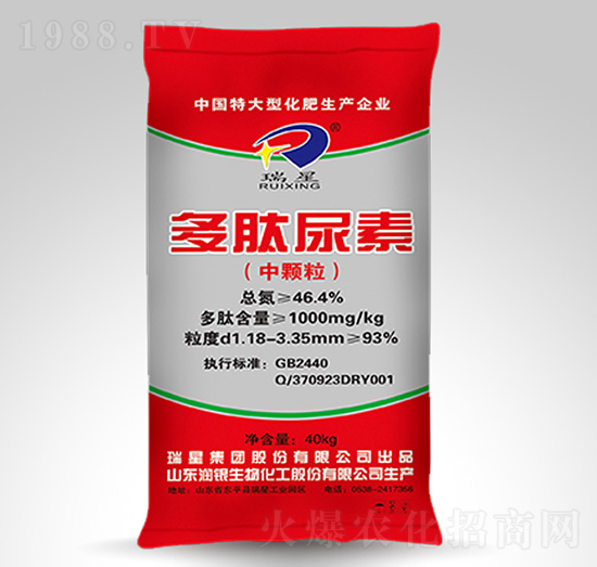 ��������-����