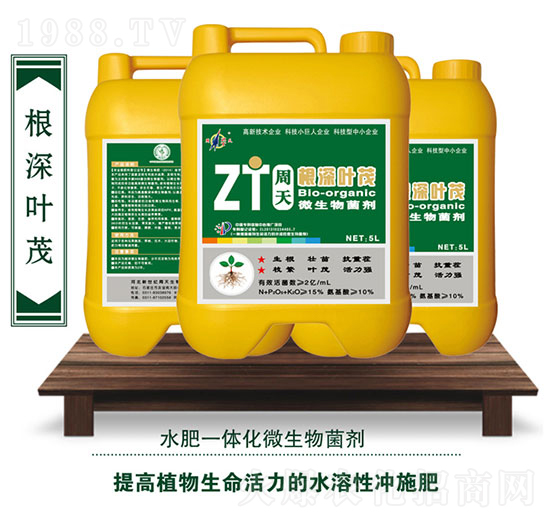 ΢�������-�����~ï-��������