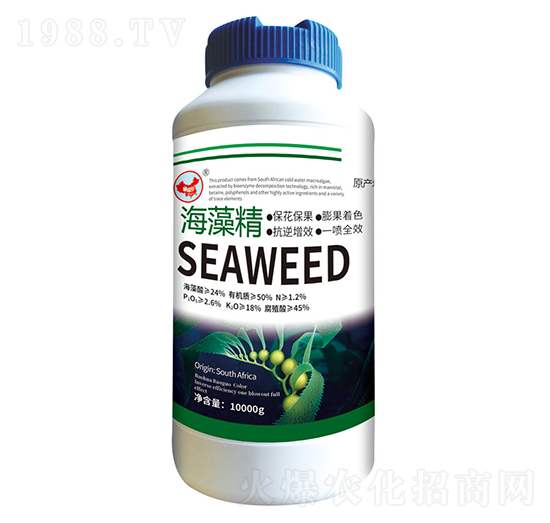 ���徫-ɽ�|�������