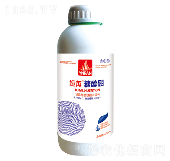 �Ǵ���-�I��-ɽ�|�������