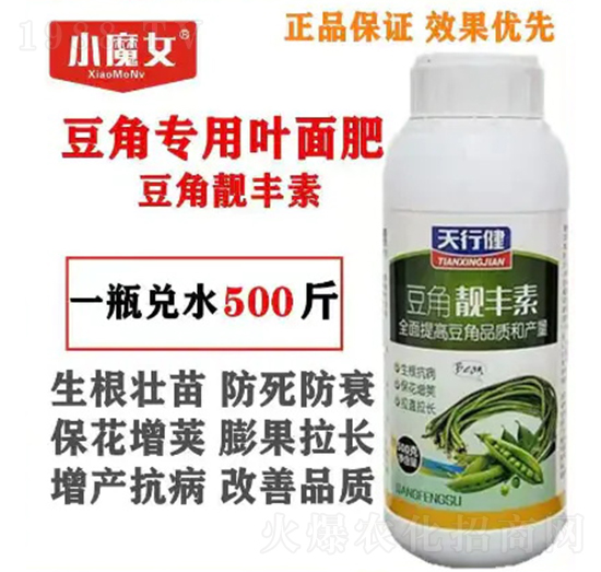 ���ǌ����~���-�����n�S��-СħŮ-���н�