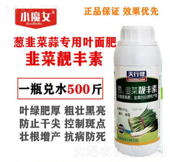 �[�²��⌣���~���-�²��n�S��-���н�