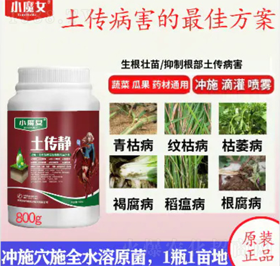 ������-СħŮ-���н�