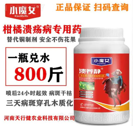 ���B(y��ng)�o-СħŮ-���н�