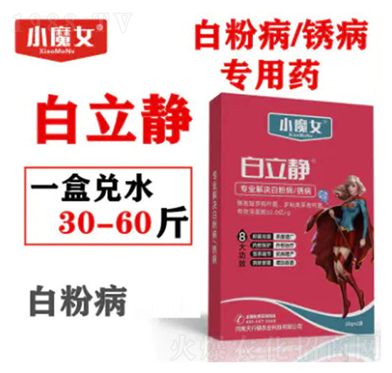 �׷۲����P����(zhu��n)��ˎ-�����o-СħŮ-���н�