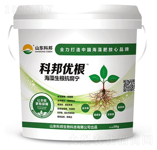 ��������������-�ư(y��u)��-�ư�����