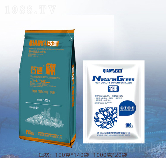 ������-�ٝ��ݰ�