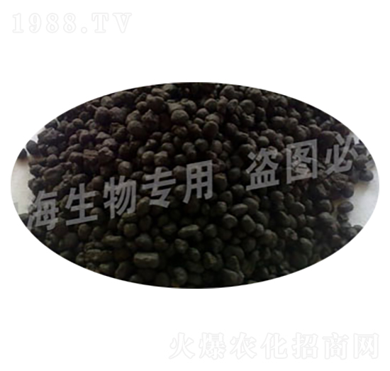 �ЙC(j��)���w��-�{������