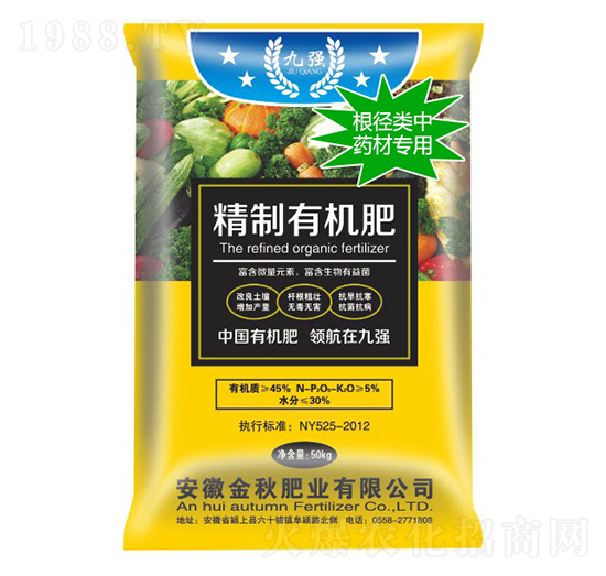 �������ˎ�Č����ЙC(j��)��-����ʘI(y��)