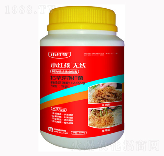 �ݲ�ѿ�ߗU��-С�t��-�f(w��n)���r(n��ng)��