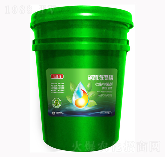 ̼ø���徫΢�������-С�t��-�f���r(n��ng)��