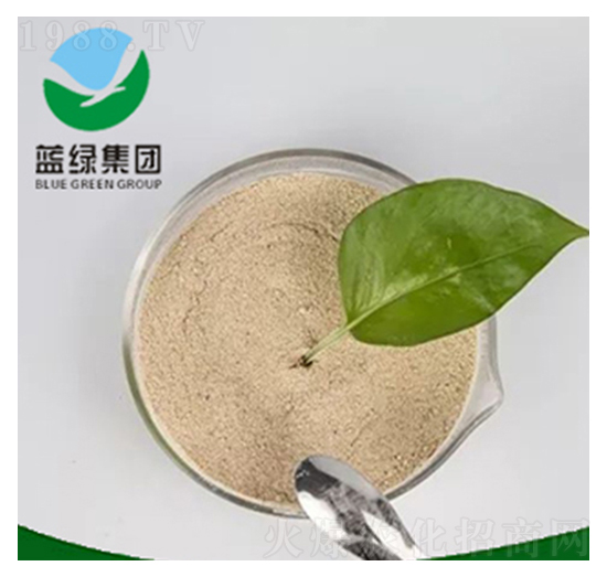 �������-����˹����