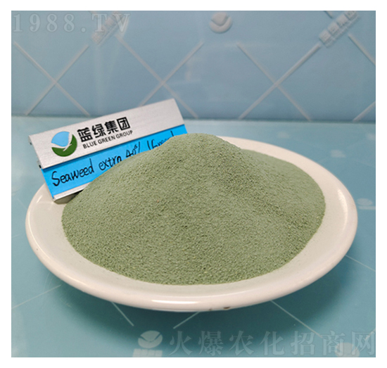 40%�Gɫ���徫-����˹����