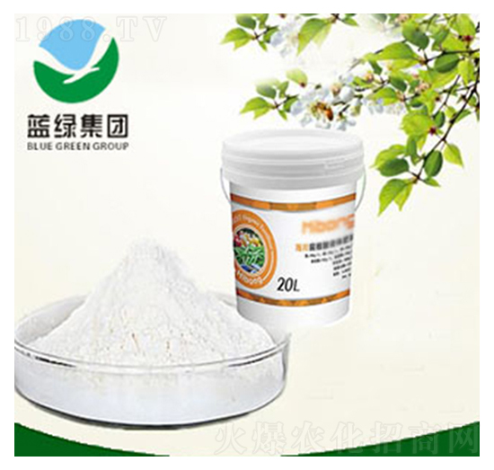 ������-����˹����