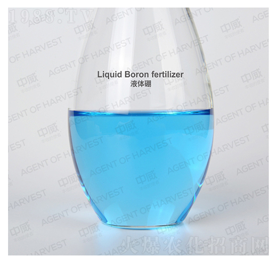 Һ�w��-����˹����