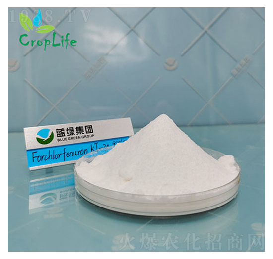 ��������-��(��i)��˹����