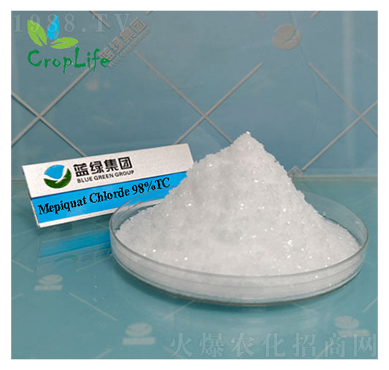 �s��(ji��)���������ˣ�-����˹����