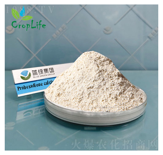 �{(di��o)�h(hu��n)���}-��(��i)��˹����