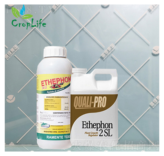 ��ϩ��-��(��i)��˹����