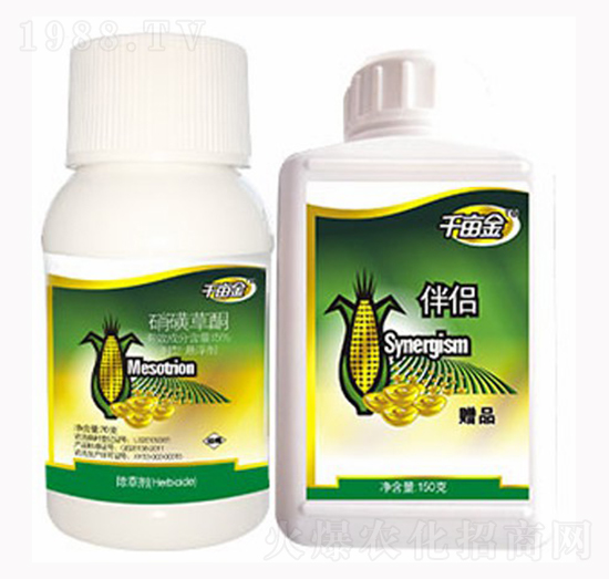 ǧ�������ǲ�ͪ-������