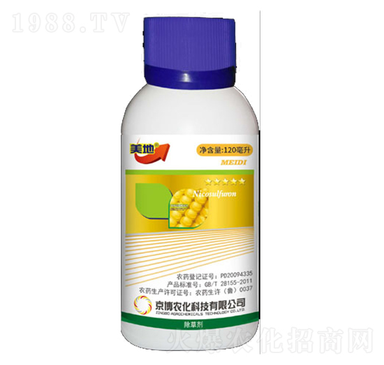 ������-ɽ���r�Y