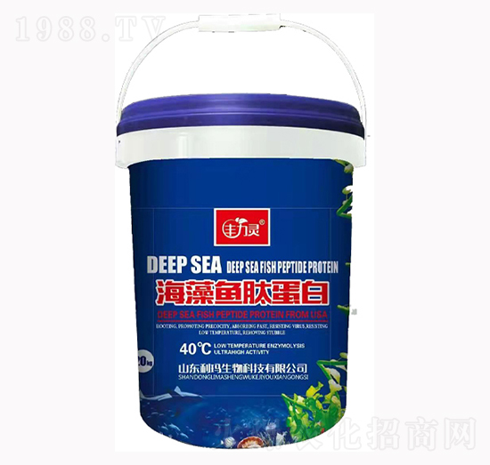 �����~(y��)�ĵ���-�S���`-��������