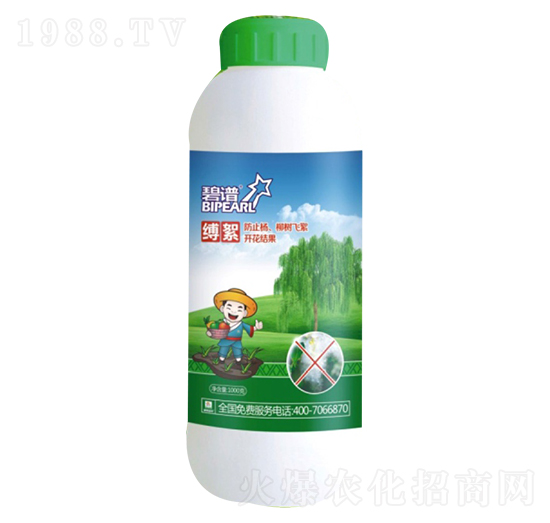 �`�������F�ͣ�-������r